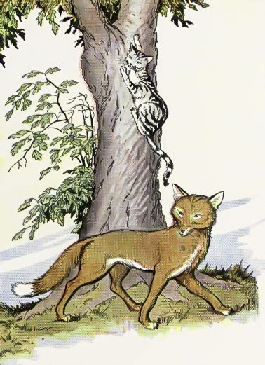 The Cat and the Fox Story - Aesop's Fables