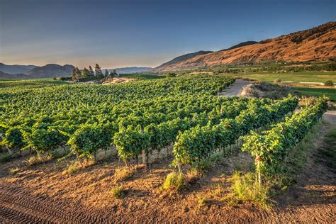 Wineries - Visit Penticton