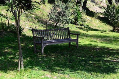 Premium Photo | Sitting on bench in the garden