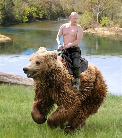 Putin Riding Bear