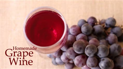 Homemade Grape Wine with fresh Grapes | Christmas Special Grape Wine Recipe – Wine Vacation