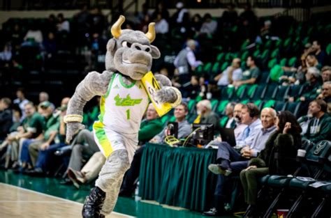 Mascot remains staple of USF pride through smooth and ‘rocky’ years ...