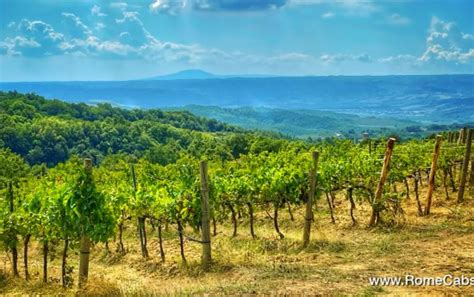 Orvieto Wine Tasting Tour from Rome - RomeCabs