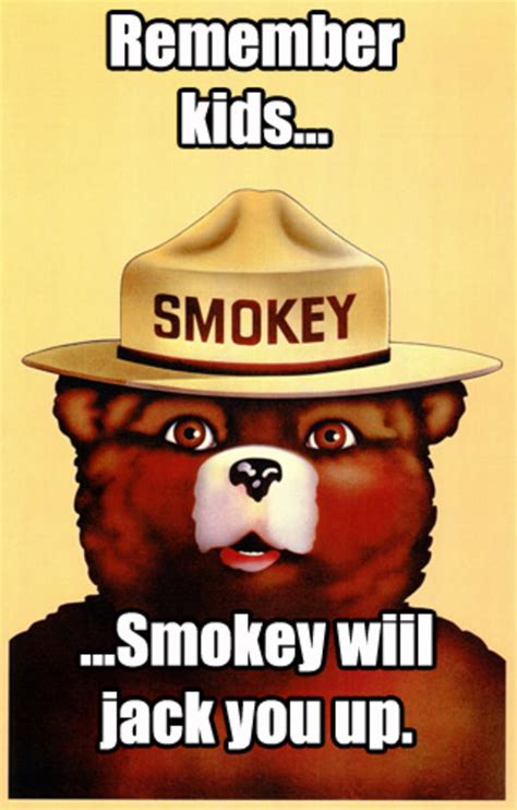 [Image - 764516] | Smokey The Bear | Know Your Meme