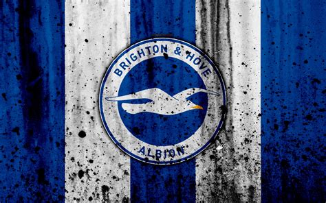 Brighton & Hove Albion F.C. Wallpapers - Wallpaper Cave