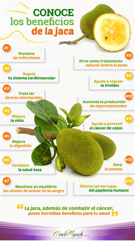 Propiedades Y Beneficios De La Fruta Yaca - Estos Beneficios