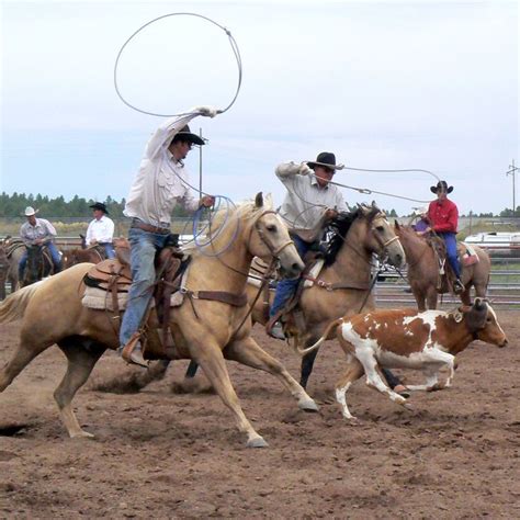 109 best Team roping images on Pinterest | King george, Country music and La la la