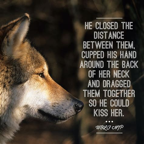 alpha wolf and alpha quotes best 25 alpha | Alpha quote, Wolf pack quotes, Crush quotes