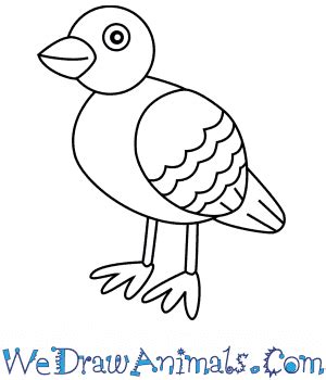 How To Draw The Pigeon - Resolutionrecognition4