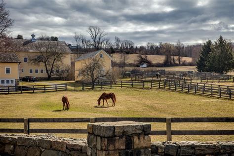 North Salem, N.Y.: The Country Life (Published 2017) | North salem ...