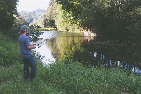 Coarse Fishing In The UK: A Beginner's Guide To Equipment, Fish Species ...