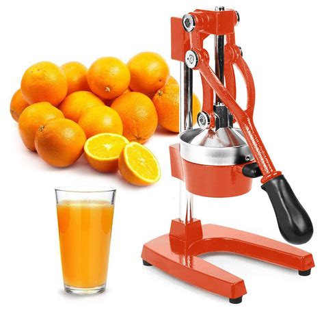 The 8 Best Citrus Juicers of 2021