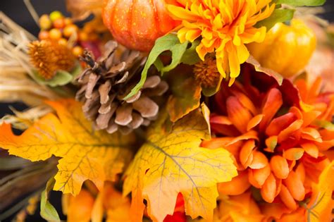 Fall Flowers Thanksgiving - Free photo on Pixabay