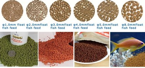 Vital Fish Feed Pellets for Catfish - 15kg - Afrimash.com - Nigeria