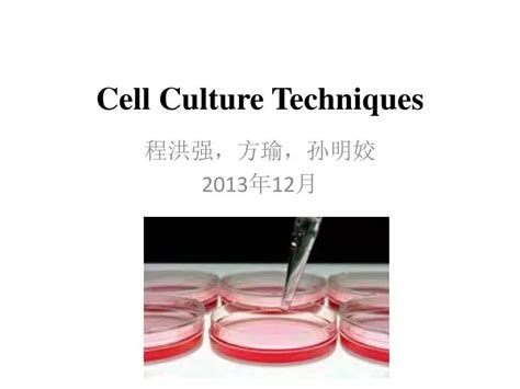 PPT - Cell Culture Techniques PowerPoint Presentation, free download - ID:3981136