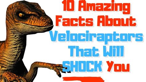 10 Facts about Velociraptor for Kids Documentary | Dinosaur Videos For Kids - YouTube