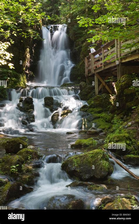 Dickson Falls in Fundy National Park, New Brunswick, Canada, North America Stock Photo - Alamy