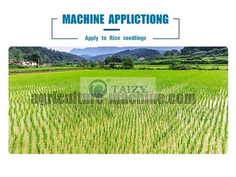 High Efficient Walk-behind Rice Transplanter With Good Price