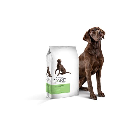 Grain-Free Limited-Ingredient Food for Dogs With Sensitive Skin ...