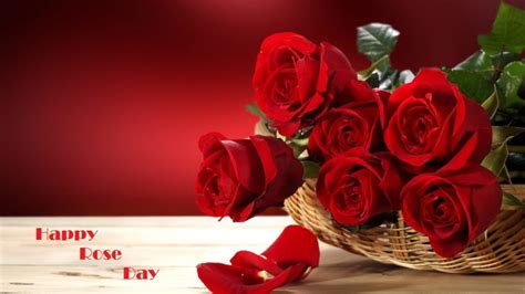 Happy Rose Day 2019 Wishes With Images