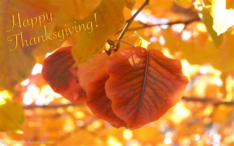 Thanksgiving HD Wallpaper Widescreen - WallpaperSafari