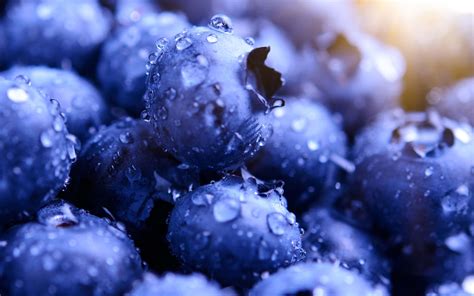 #Blueberries | Macro food photography, Blueberry, Macro meals