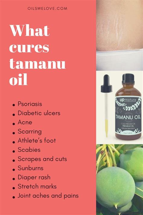 Pure tamanu oil benefits for skin: meet the miracle! in 2020 | Tamanu ...