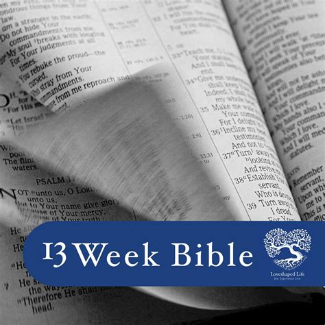 The Bible in 90 Days: John 16-Acts 6 - 13 Week Bible (Bible in 90 Days ...