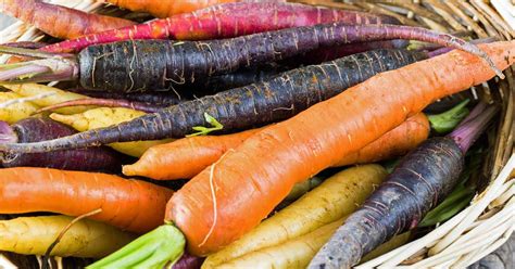 13 of the Best Carrot Varieties to Grow at Home | Gardener's Path