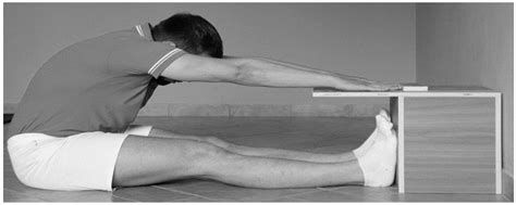 IJERPH | Free Full-Text | Self-Myofascial Release of the Foot Plantar Surface: The Effects of a ...