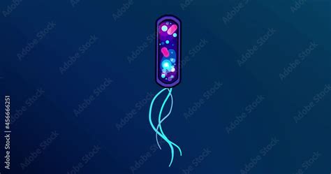 Flat animation of bacteria with flagella. protozoa, a unicellular with ...