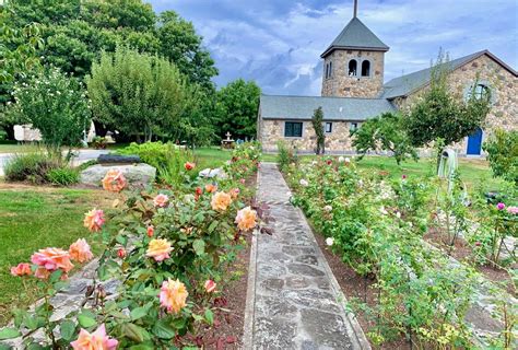 Resplendent Dahlias on Enders Island — Enchanted Gardens