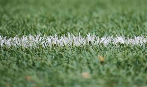 How Much Does a Turf Field Cost for Sports Facilities? - Sports Venue ...