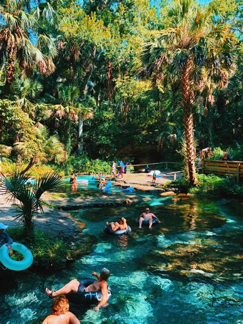 Rock Springs at Kelly Park, Central Florida's Best Natural Spring ...