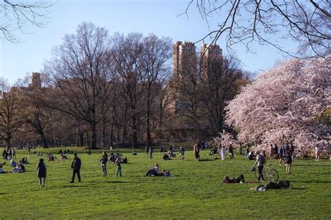 Premium Photo | New york usa april 13 2023 people resting on a meadow ...