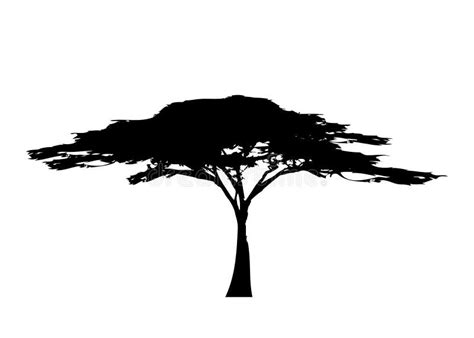 African Tree Icon, Acacia Tree Silhouette, Vector Isolated Stock Vector - Illustration of ...