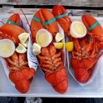 5 Best Seafood Restaurants in Eastern Connecticut - Society19