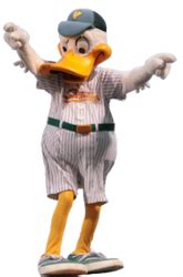 QUACKERJACK RETAINS BEST L.I. TEAM MASCOT TITLE