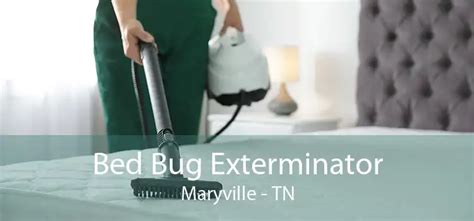 Bed Bug Exterminator Maryville, TN - Best Bed Bug Exterminator