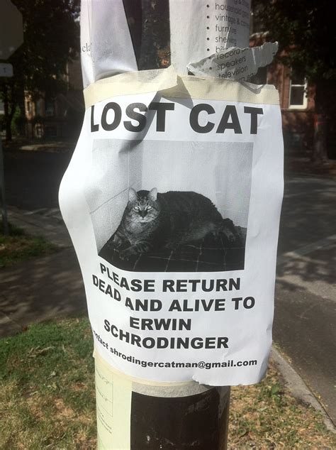 Schrodinger's Cat is missing | Funny street signs, Funny posters, Funny signs