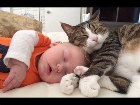 Cute Babies Sleeping With Dogs and Cats - Cat Loves Baby Videos 2018 | Cute baby sleeping ...