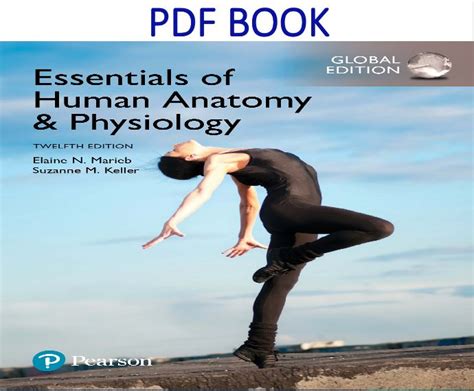 Essentials of Human Anatomy & Physiology 12th Global Edition PDF Book ...