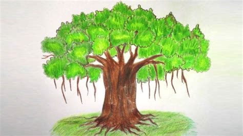 How to Draw Banyan Tree Step By step ||Very easy|| | Tree drawing ...