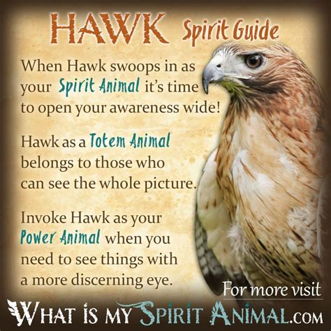 Bird Symbolism & Meaning | Spirit, Totem, & Power Animal