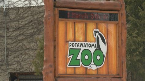 Potawatomi Zoo open Saturday | WSBT