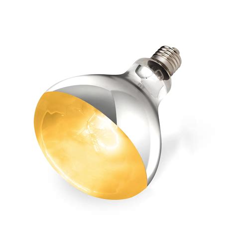 Best Uvb Bulb Vitamin D – Your Best Life