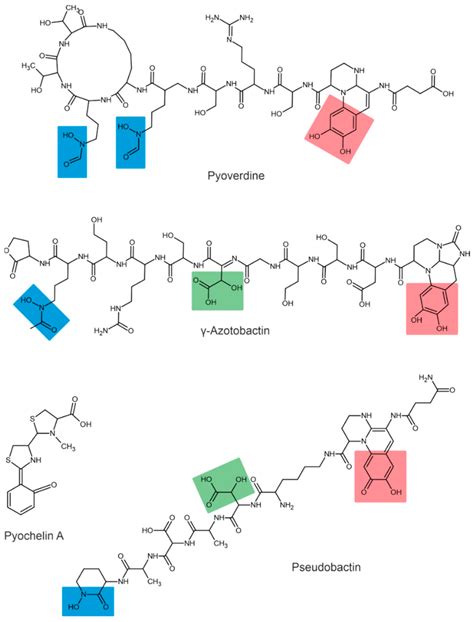 Plants | Free Full-Text | Bacterial Siderophores: Classification ...