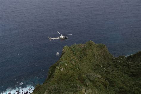 Phenomenal seabird breeding success on Gough Island: vindication of our ...