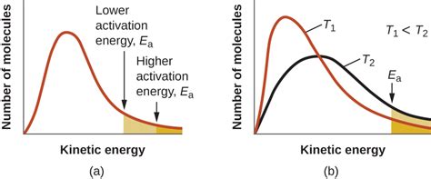 M13Q8: Relationship between Reaction Rates, Temperature, and Activation ...