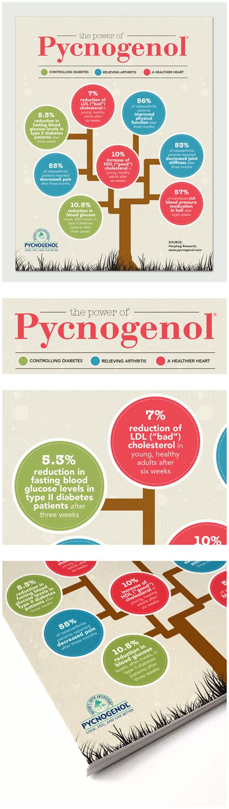 Pycnogenol Side Effects - HRF